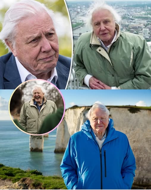 Sir David Attenborough Passed Away